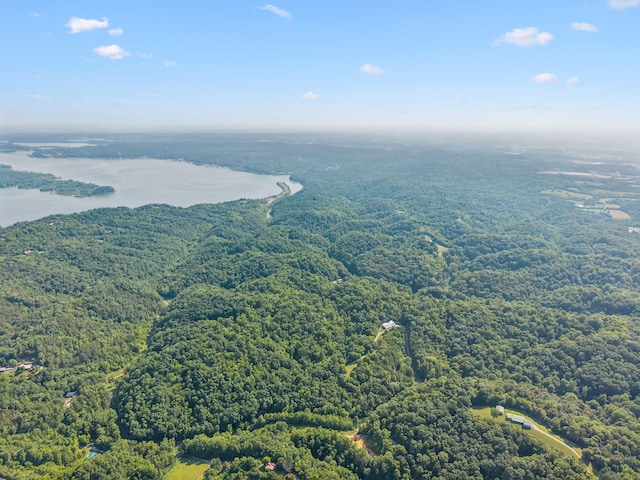 251 Huff Hollow Rd, Newport, TN 37821 - photo 95
