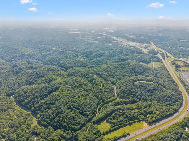 251 Huff Hollow Rd, Newport, TN 37821 - photo 92