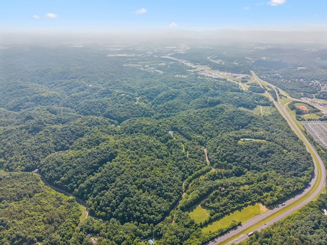 251 Huff Hollow Rd, Newport, TN 37821 - photo 90