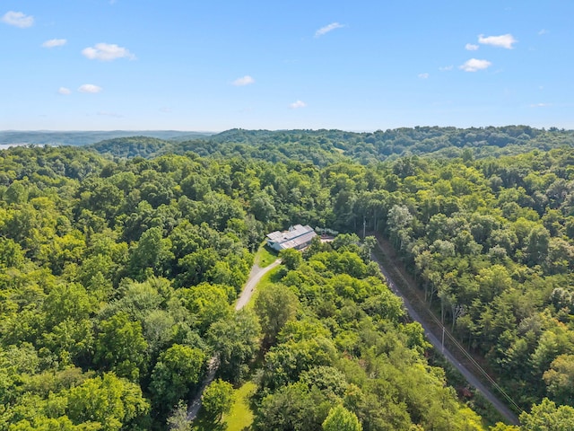 251 Huff Hollow Rd, Newport, TN 37821 - photo 75