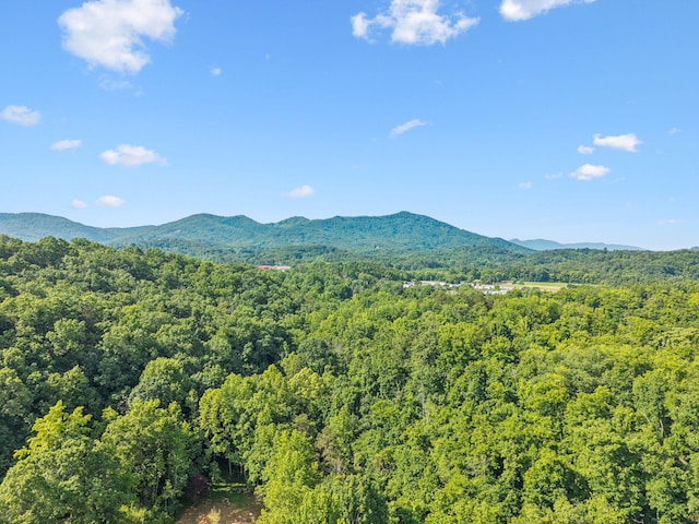 251 Huff Hollow Rd, Newport, TN 37821 - photo 71