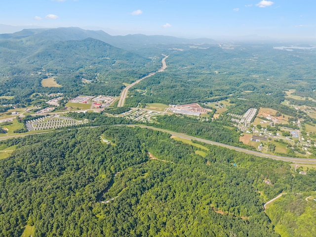 251 Huff Hollow Rd, Newport, TN 37821 - photo 80