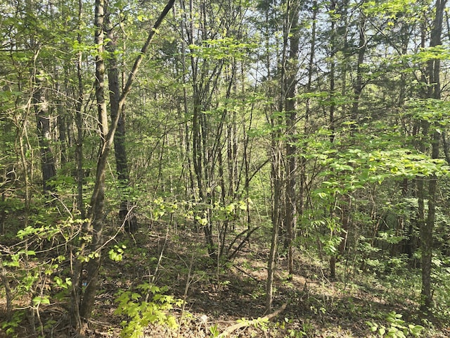 0 Bales Rd, Knoxville, TN 37914