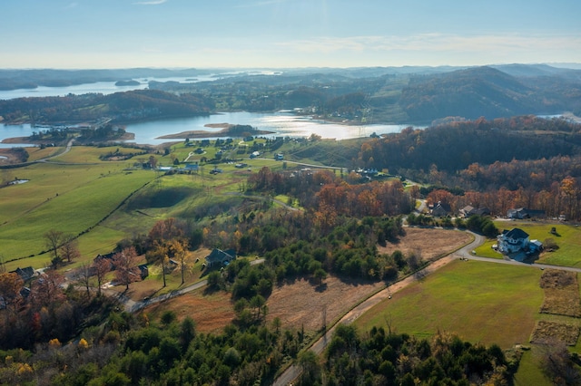LOT39 Logans Blf, Bean Station, TN 37708