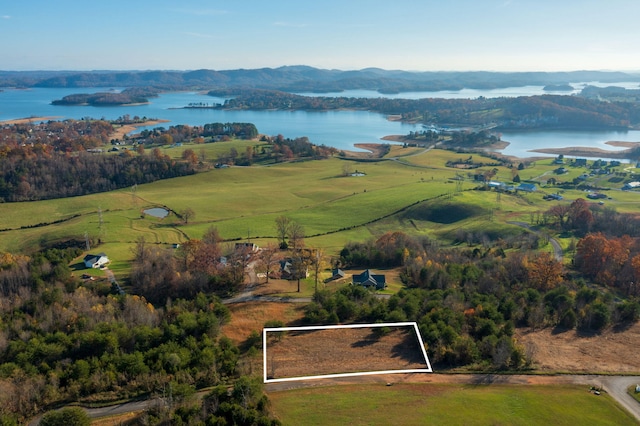LOT39 Logans Blf, Bean Station, TN 37708