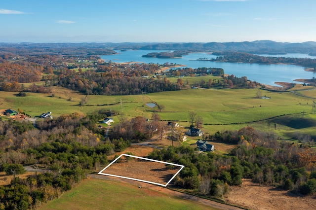 LOT39 Logans Blf, Bean Station, TN 37708