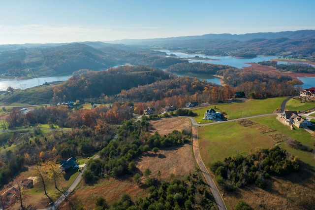 LOT39 Logans Blf, Bean Station, TN 37708