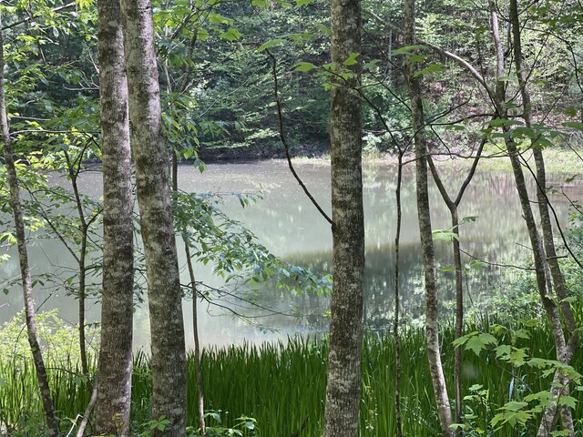 4750 Laws Rd, Del Rio, TN 37727 - water view