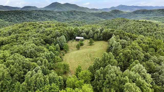 4750 Laws Rd, Del Rio, TN 37727 - aerial view of a forest and mountains