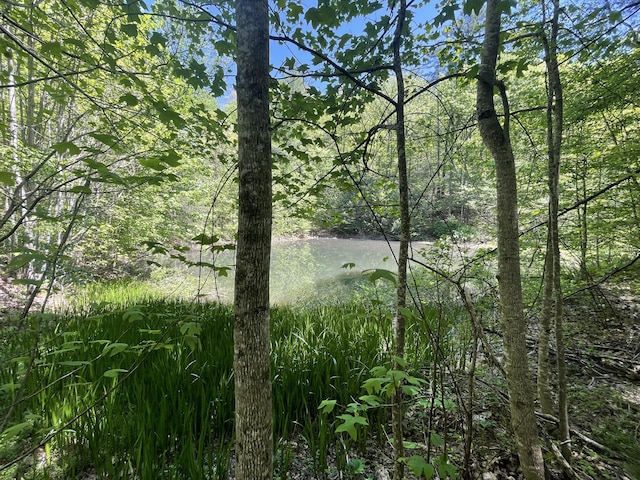 4750 Laws Rd, Del Rio, TN 37727 - water view with a heavily wooded area