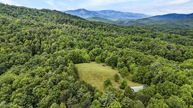 4750 Laws Rd, Del Rio, TN 37727 - bird's eye view of a heavily wooded area and a mountainous background