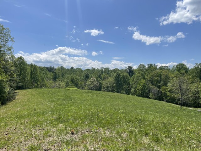 4750 Laws Rd, Del Rio, TN 37727 - view of yard with a view of trees and a rural view