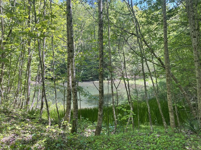 4750 Laws Rd, Del Rio, TN 37727 - water view with a forest