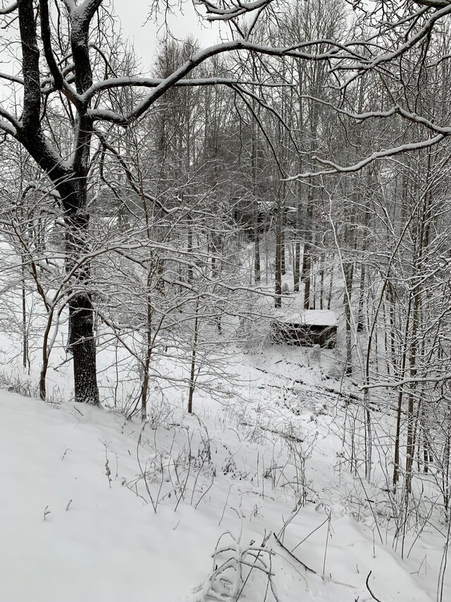 4750 Laws Rd, Del Rio, TN 37727 - view of snow covered land