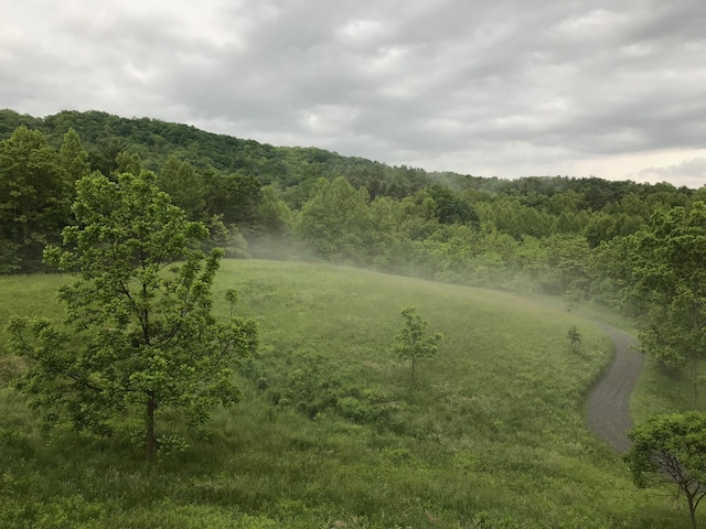 4750 Laws Rd, Del Rio, TN 37727 - view of community with a view of trees