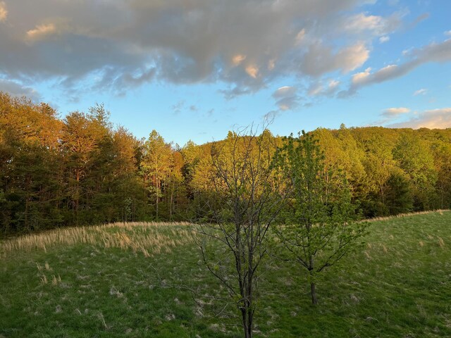 4750 Laws Rd, Del Rio, TN 37727 - view of woods