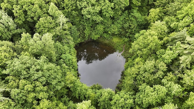 4750 Laws Rd, Del Rio, TN 37727 - view of property location featuring a nearby body of water