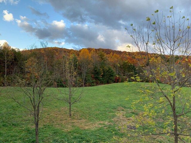 4750 Laws Rd, Del Rio, TN 37727 - view of grassy yard featuring a forest view