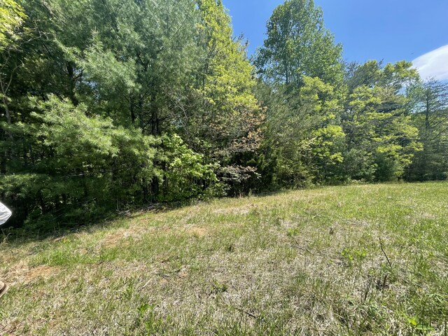4750 Laws Rd, Del Rio, TN 37727 - view of woods