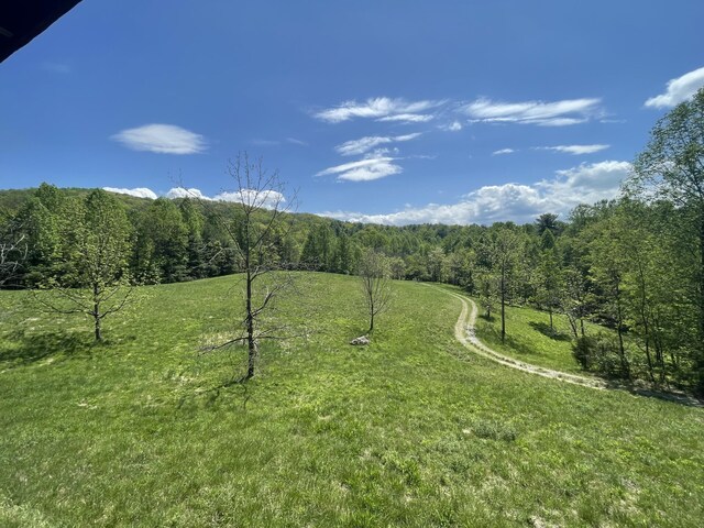 4750 Laws Rd, Del Rio, TN 37727 - view of green lawn with a forest view
