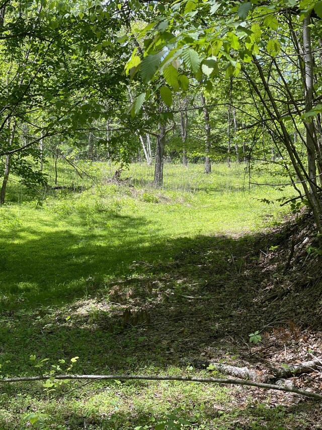 4750 Laws Rd, Del Rio, TN 37727 - view of wooded area