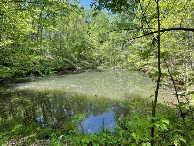 4750 Laws Rd, Del Rio, TN 37727 - water view featuring a forest