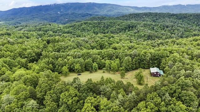 4750 Laws Rd, Del Rio, TN 37727 - aerial view of a heavily wooded area and a mountainous background