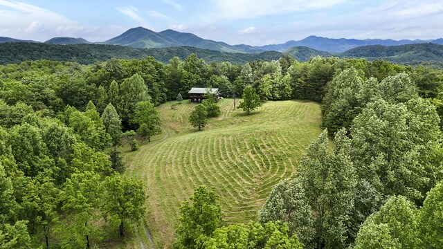 4750 Laws Rd, Del Rio, TN 37727 - view of mountain backdrop featuring rural landscape
