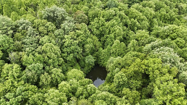4750 Laws Rd, Del Rio, TN 37727 - aerial overview of property's location with a large body of water