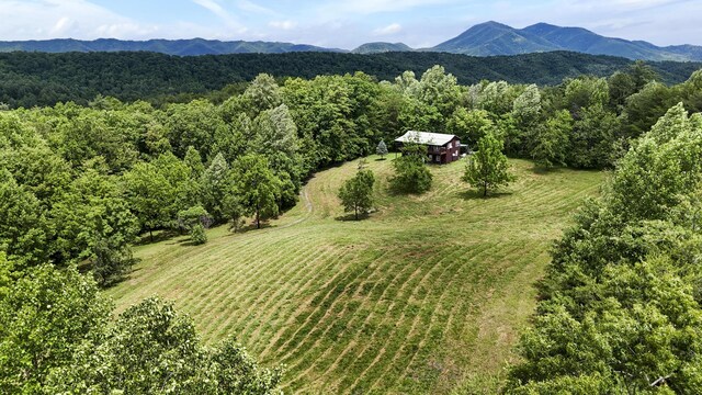 4750 Laws Rd, Del Rio, TN 37727 - view of subject property featuring a heavily wooded area and mountains