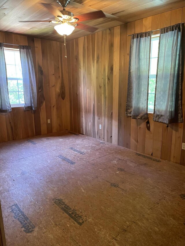 4750 Laws Rd, Del Rio, TN 37727 - unfurnished room with plenty of natural light, wood walls, and a ceiling fan