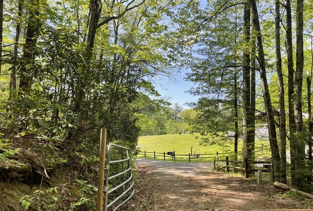 4750 Laws Rd, Del Rio, TN 37727 - view of home's community with a view of trees