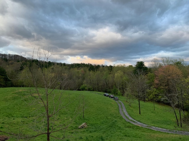 4750 Laws Rd, Del Rio, TN 37727 - view of green lawn with a view of rural / pastoral area and a forest view