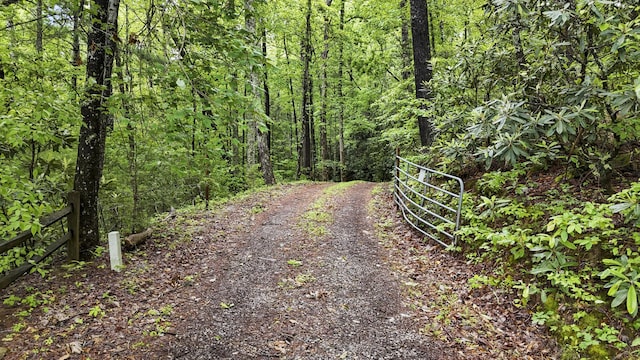 4750 Laws Rd, Del Rio, TN 37727 - view of dirt / gravel road featuring a wooded view