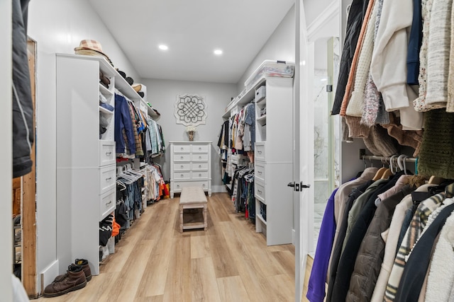 1670 Bays Mountain Rd, New Market, TN 37820 - spacious closet featuring light wood-style floors