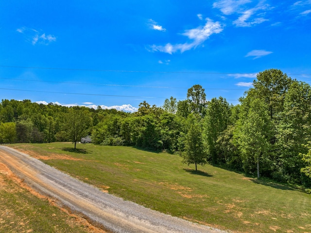 1670 Bays Mountain Rd, New Market, TN 37820 - view of dirt / gravel road with a wooded view