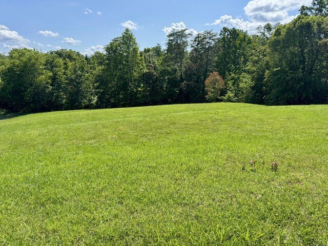 2481 Elk Way, Newport, TN 37821 - view of green lawn