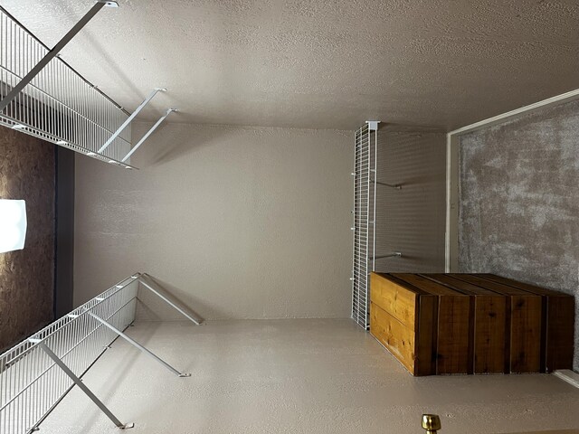 2481 Elk Way, Newport, TN 37821 - view of storage