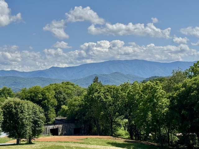2481 Elk Way, Newport, TN 37821 - mountain view
