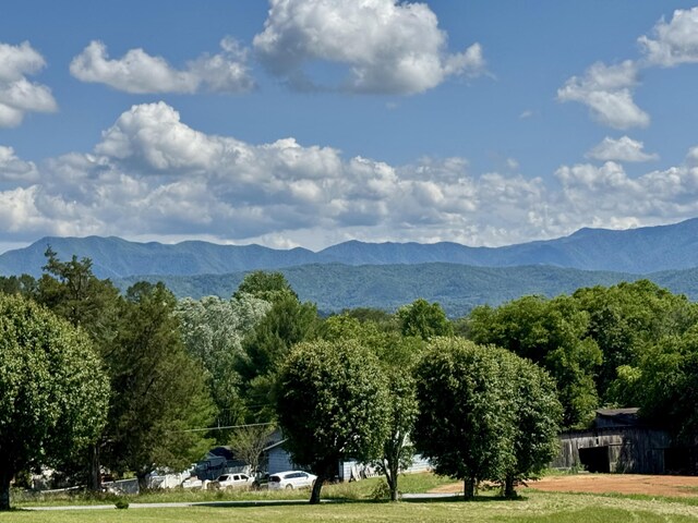 2481 Elk Way, Newport, TN 37821 - view of mountain backdrop