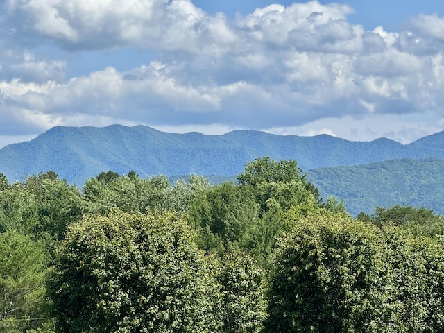 2481 Elk Way, Newport, TN 37821 - view of mountain background featuring a forest