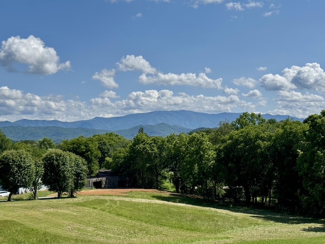 2481 Elk Way, Newport, TN 37821 - view of mountain background