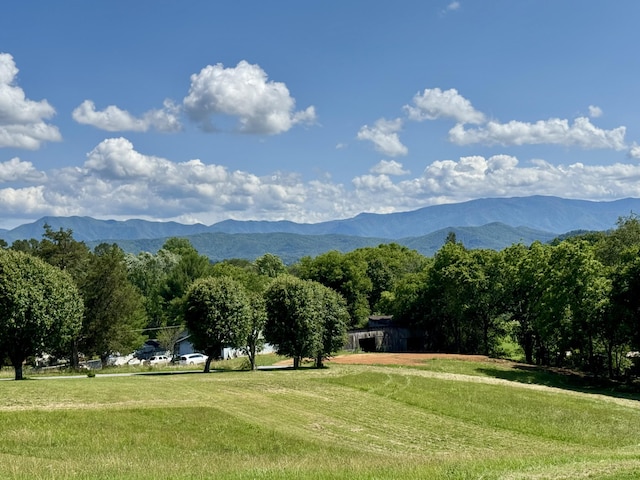2481 Elk Way, Newport, TN 37821 - view of mountain background