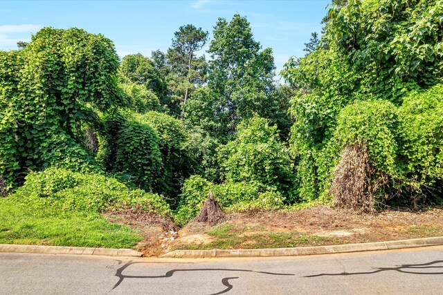 LOT141 Tumbleweed Trl, Rutledge, TN 37861 - photo 16