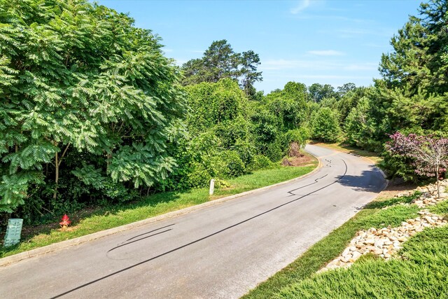 LOT141 Tumbleweed Trl, Rutledge, TN 37861 - photo 15