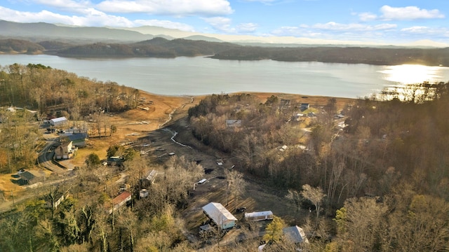 birds eye view of property featuring a water and mountain view