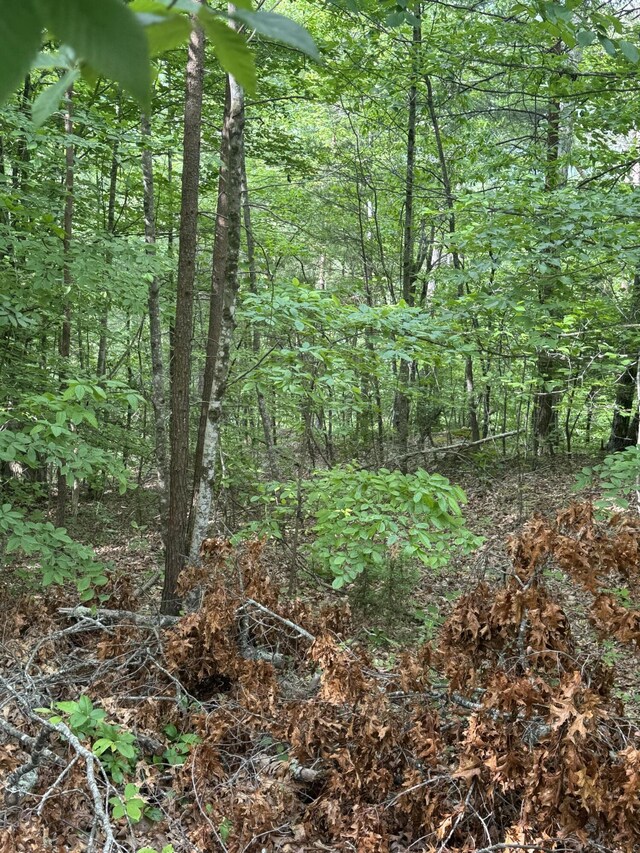 TBD Douglas Dr, Sneedville, TN 37869 - photo 14