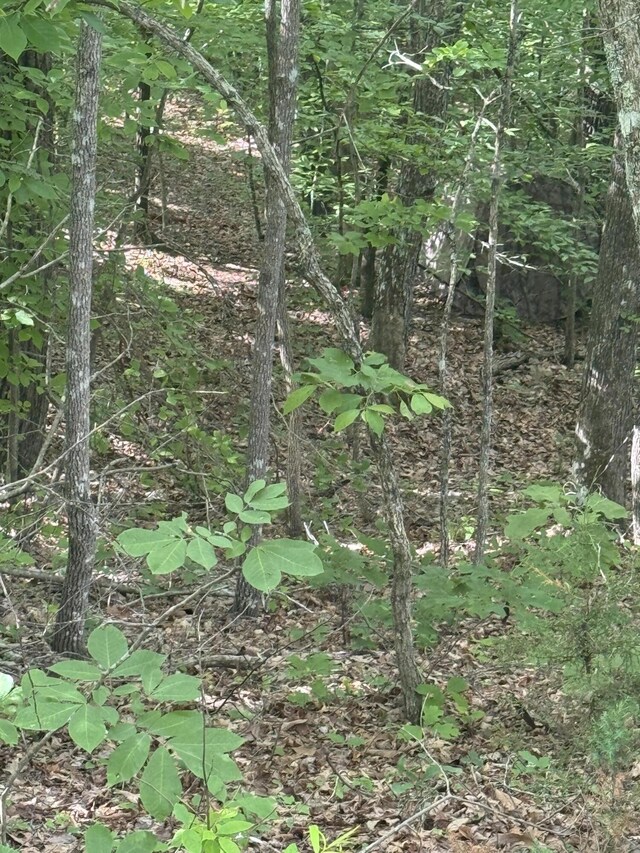TBD Douglas Dr, Sneedville, TN 37869 - photo 15