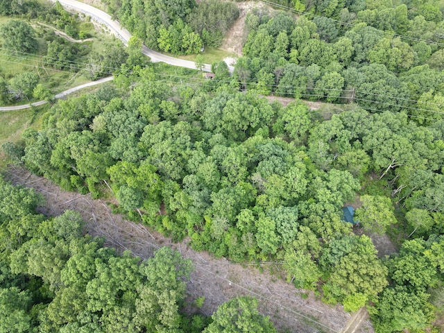 TBD Douglas Dr, Sneedville, TN 37869 - photo 11
