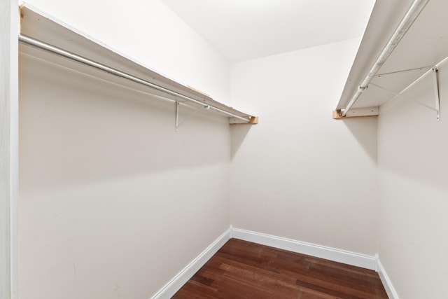 walk in closet with dark wood finished floors